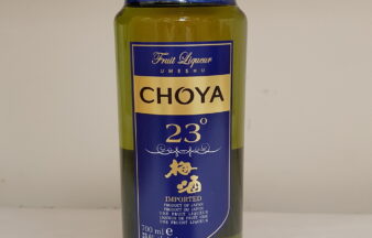 CHOYA PLUM WINE  (90 ML)